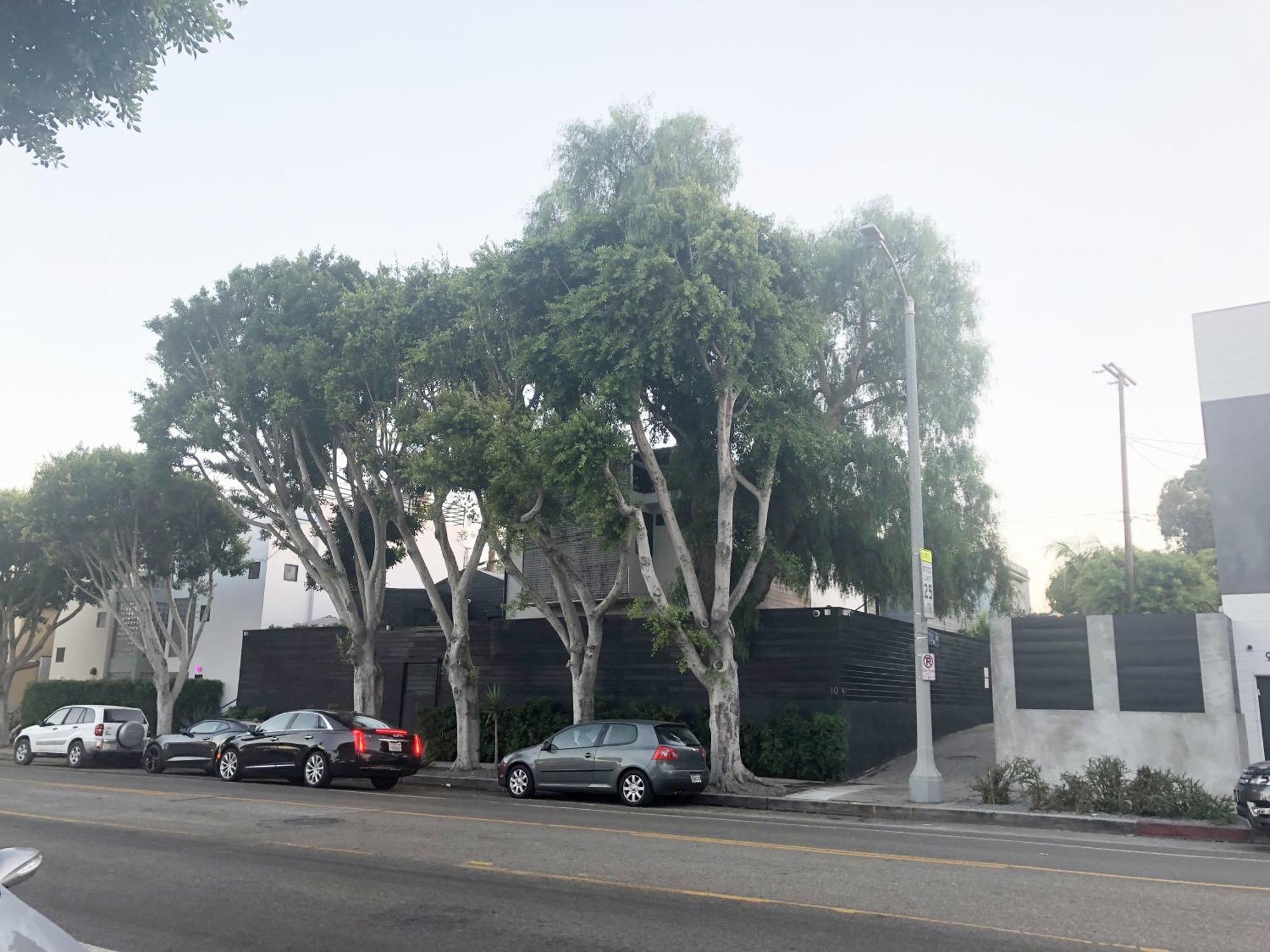Venice Beach Bungalow By Artspace Locations ロサンゼルス エクステリア 写真